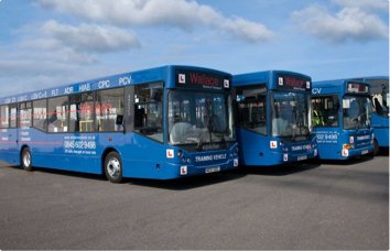 Buses